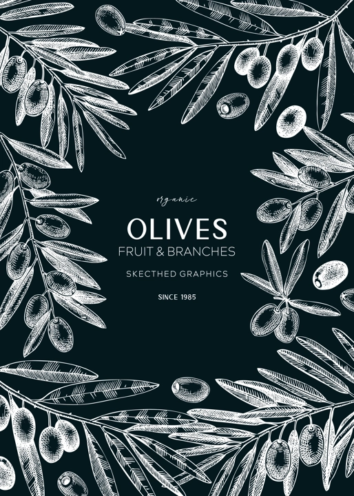 Olives design. Olive tree branches sketches. Mediterranean food menu template on chakboard. Hand-drawn vector illustration. NOT AI generated.